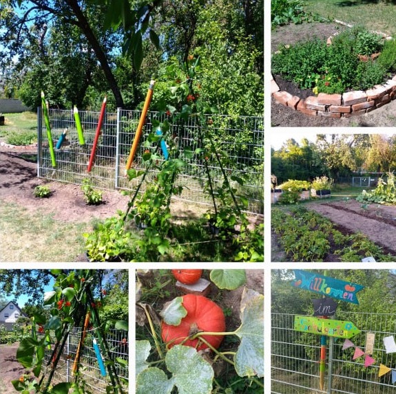 Blick in den Schulgarten